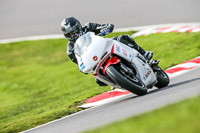 Oulton-Park-21st-March-2020;PJ-Motorsport-Photography-2020;anglesey;brands-hatch;cadwell-park;croft;donington-park;enduro-digital-images;event-digital-images;eventdigitalimages;mallory;no-limits;oulton-park;peter-wileman-photography;racing-digital-images;silverstone;snetterton;trackday-digital-images;trackday-photos;vmcc-banbury-run;welsh-2-day-enduro